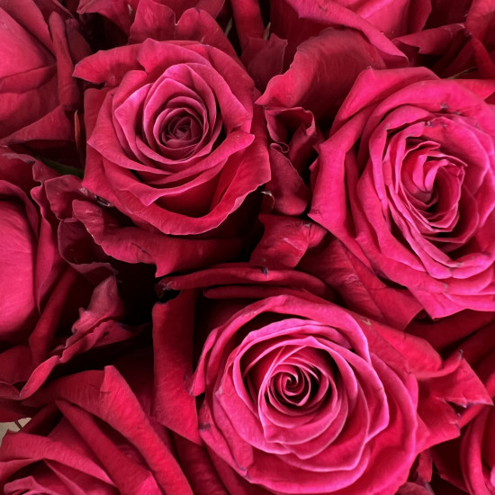 Цветы в коробке Малиновые розы в коробке М